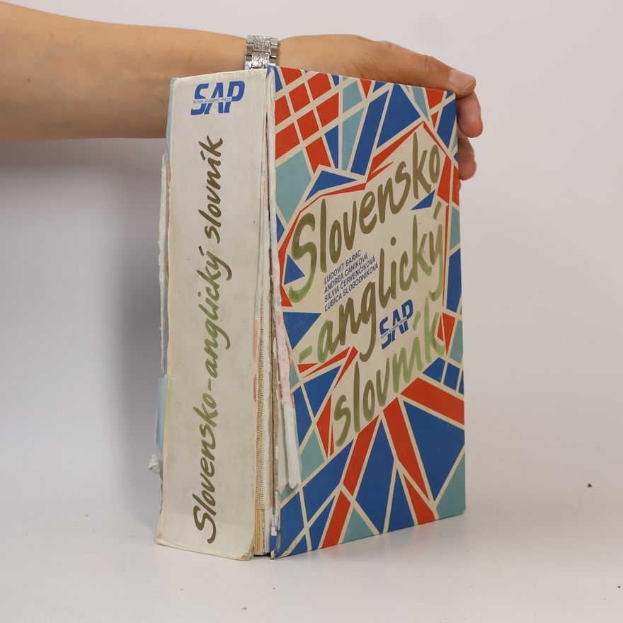 Autorenkollektiv Slovensko-anglický slovník