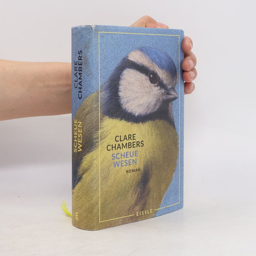 Clare Chambers Scheue Wesen