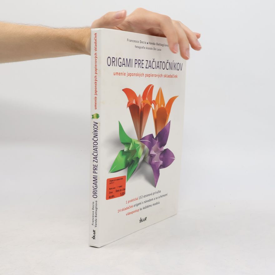 Autorenkollektiv Origami pre začiatočníkov