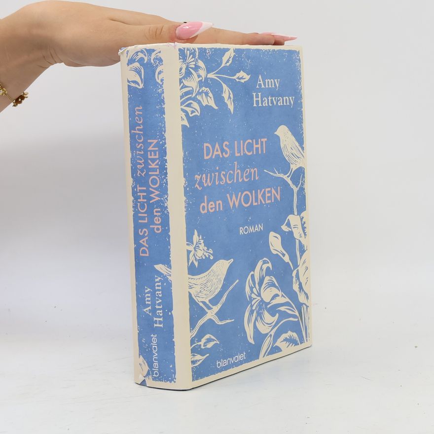 Amy Hatvany Das Licht zwischen den Wolken