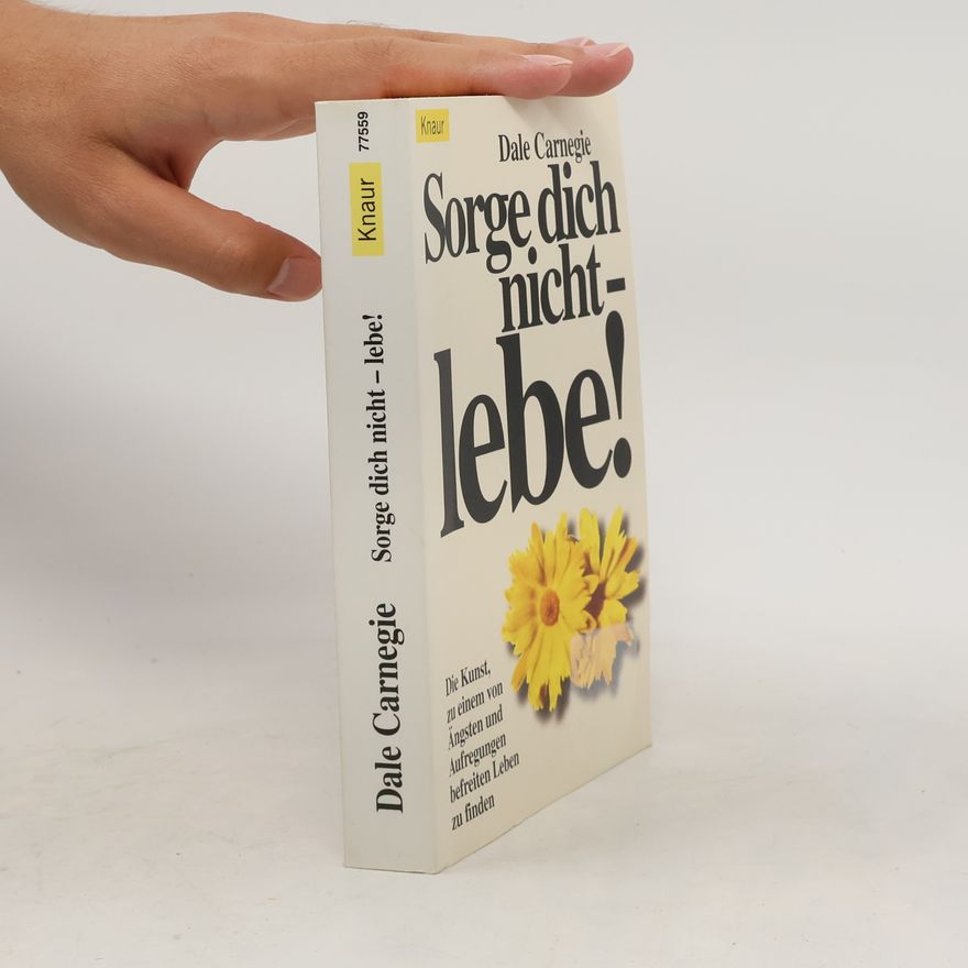 Dale Carnegie Sorge dich nicht - lebe!