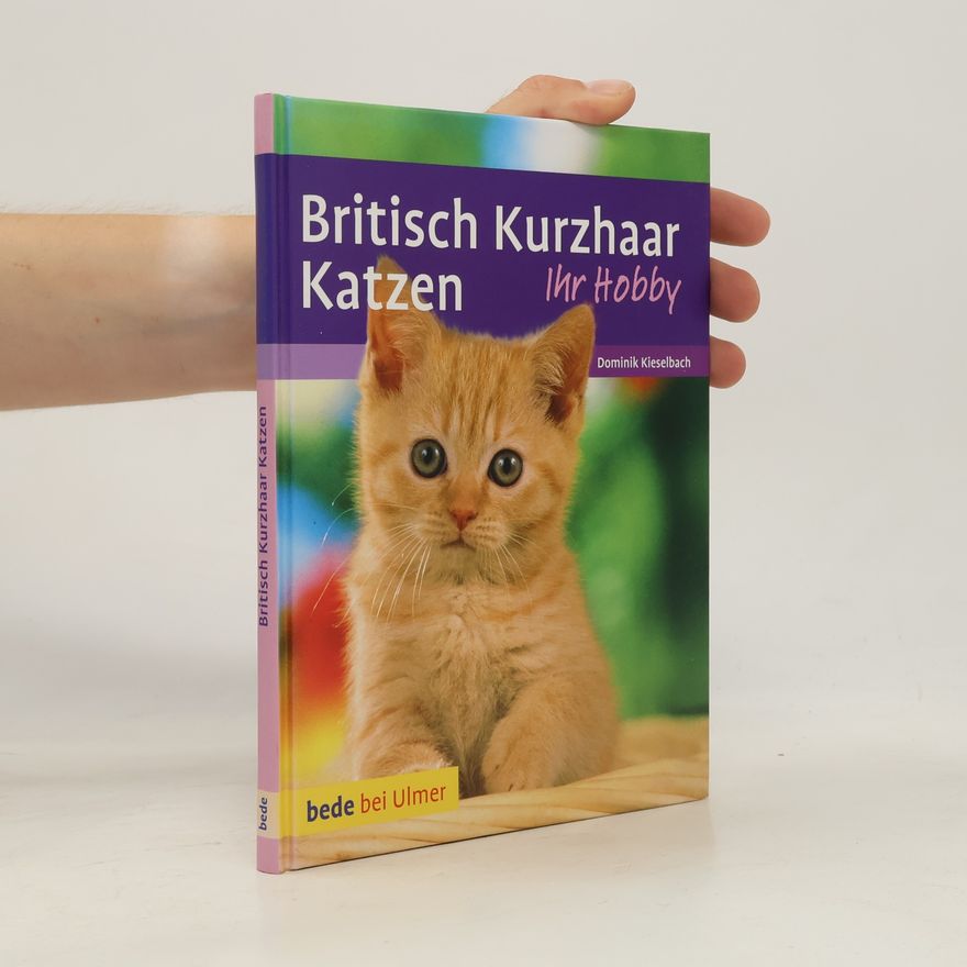 Dominik Kieselbach Britisch-Kurzhaar-Katzen