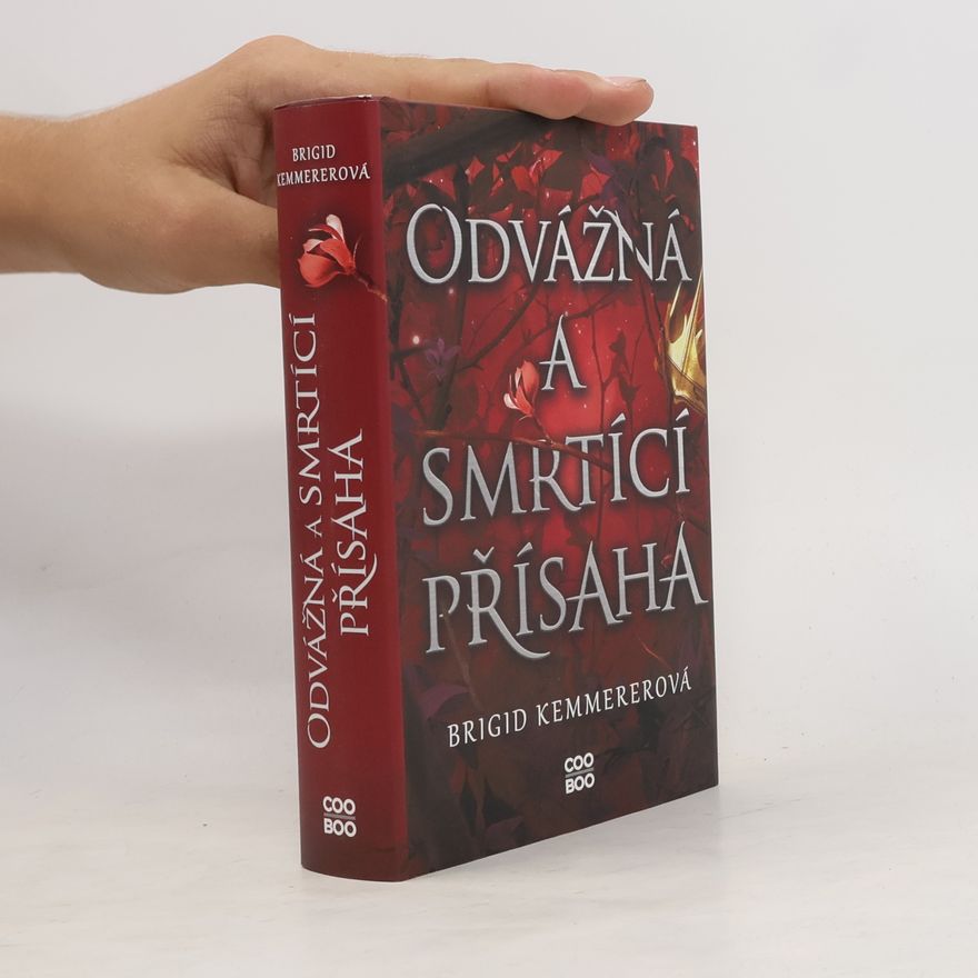 Brigid Kemmerer Odvážná a smrtící přísaha