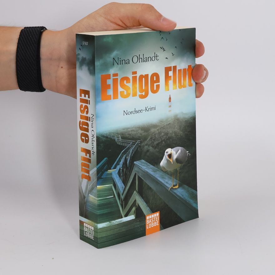 Nina Ohlandt Eisige Flut