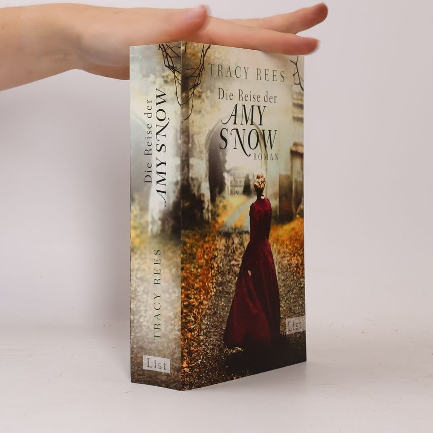 Tracy Rees Die Reise der Amy Snow