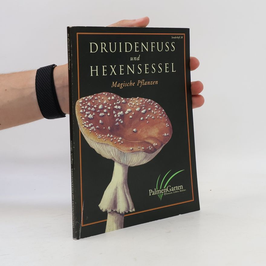 Matthias Jenny Druidenfuß und Hexensessel