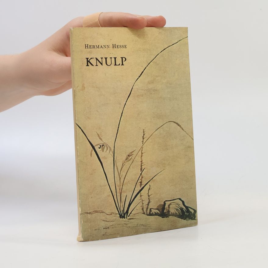 Hermann Hesse Knulp