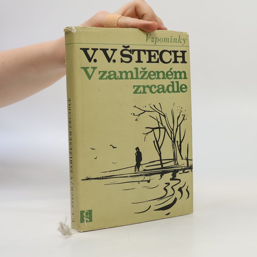 V. V. Štech V zamlženém zrcadle 1