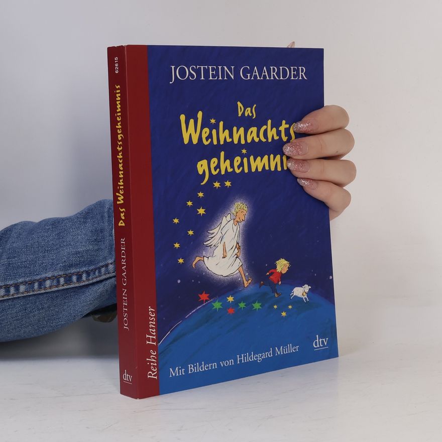 Jostein Gaarder Das Weihnachtsgeheimnis