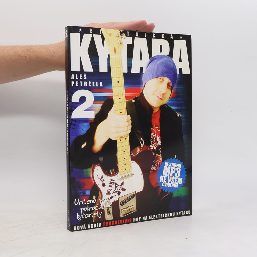 Aleš Petržela Elektrická kytara