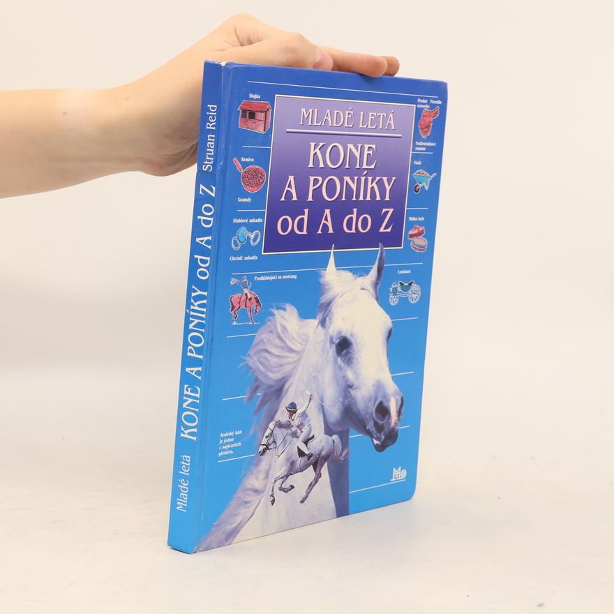 Autorenkollektiv Kone a poníky od A do Z