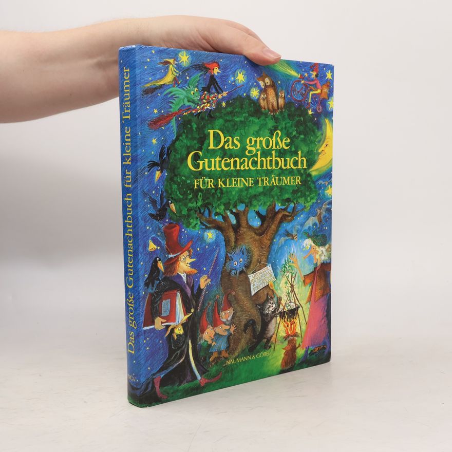 Waltraud Still Das grosse Gutenachtbuch für kleine Träumer