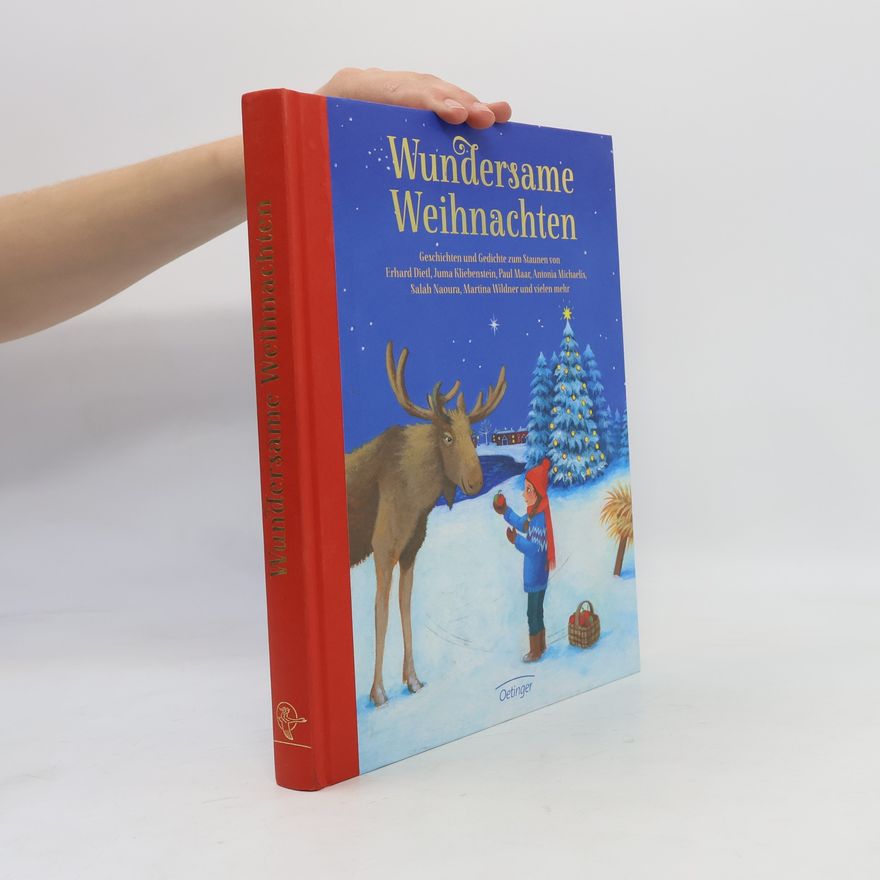 Daniela Chudzinski Wundersame Weihnachten