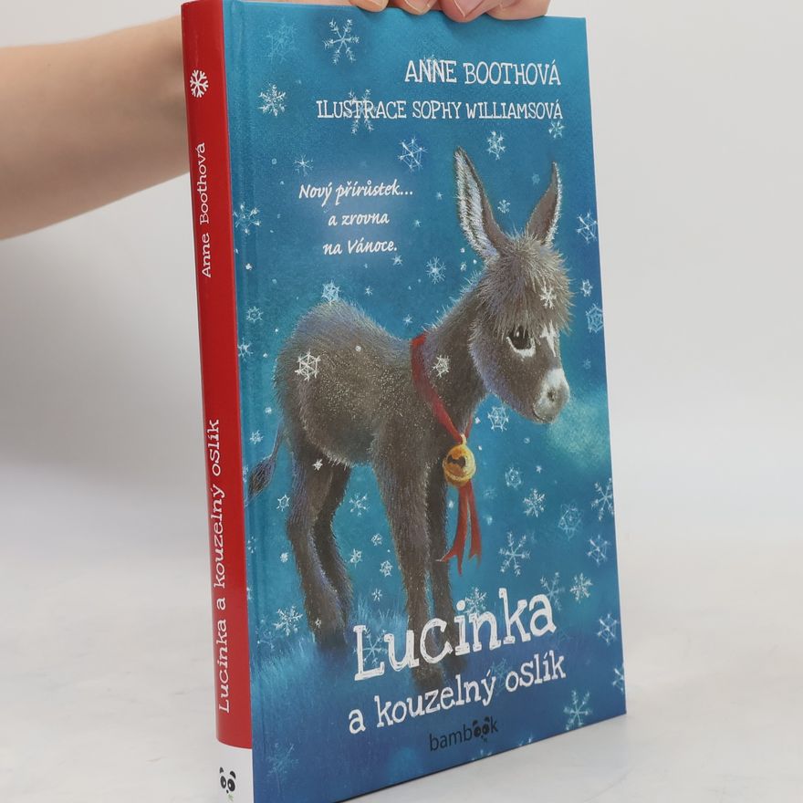 Anne Booth Lucinka a kouzelný oslík