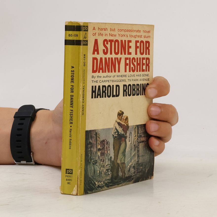 Harold Robbins A Stone for Danny Fisher