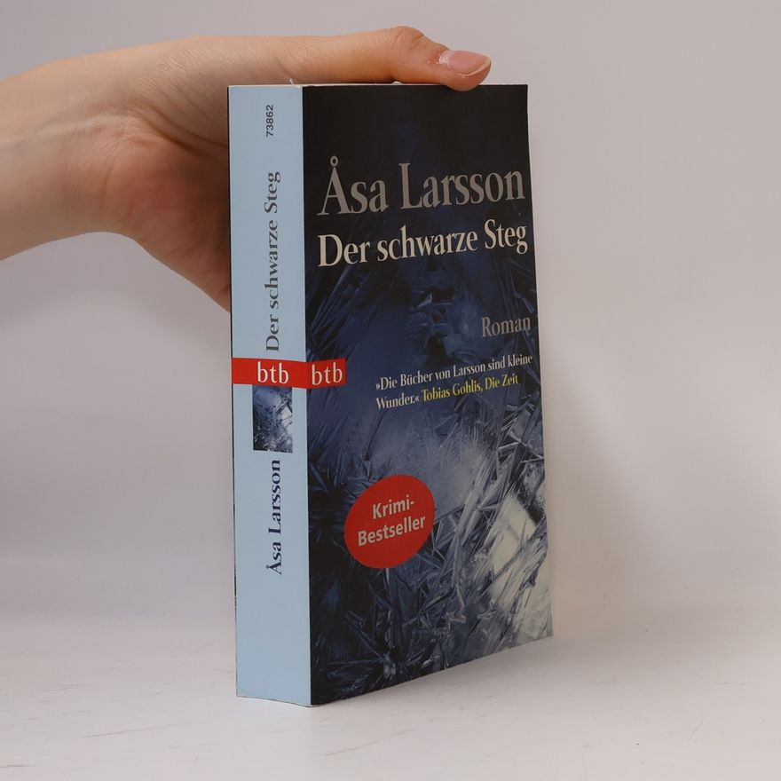 Åsa Larsson Der schwarze Steg