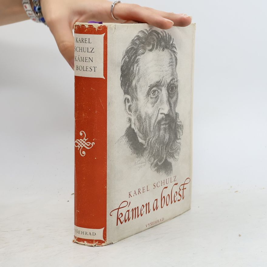 Karel Schulz Kámen a bolest