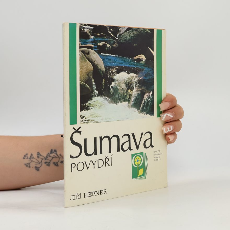 Jiří Hepner Šumava - Povydří
