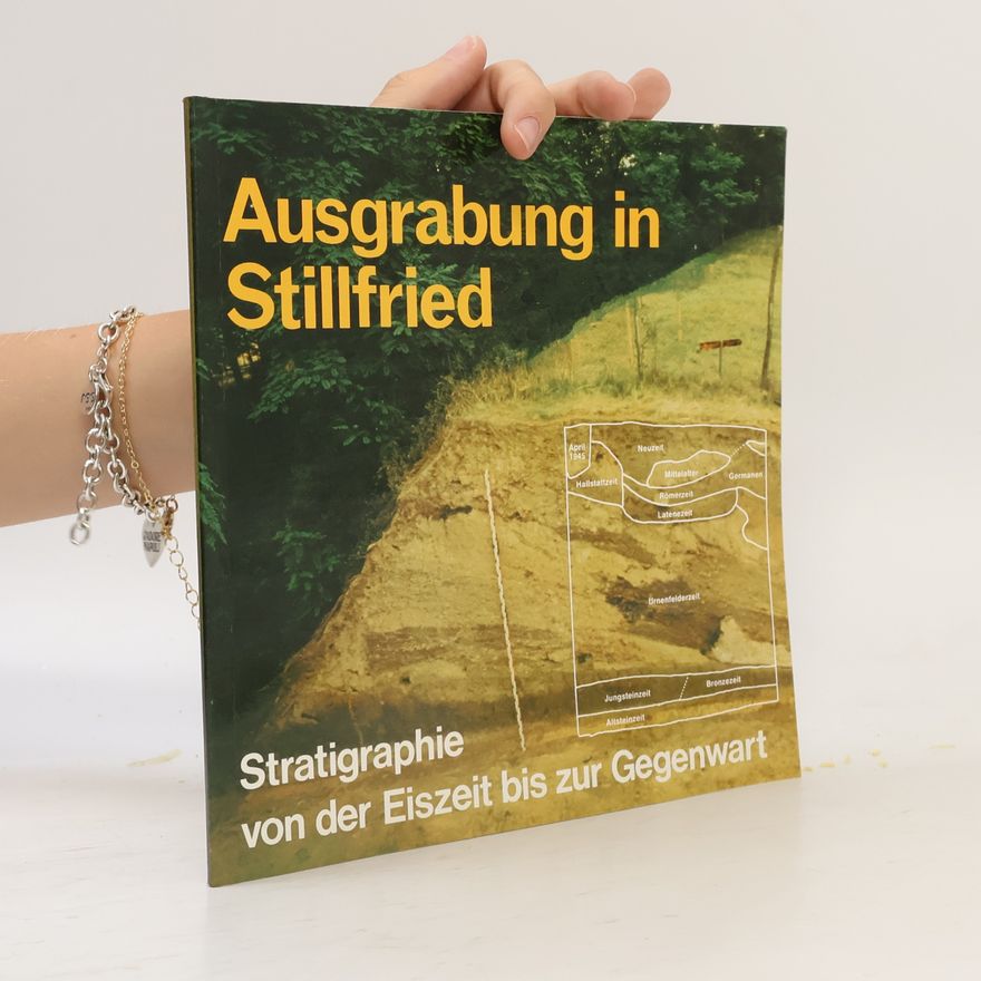 Autorenkollektiv Ausgrabung in Stillfried