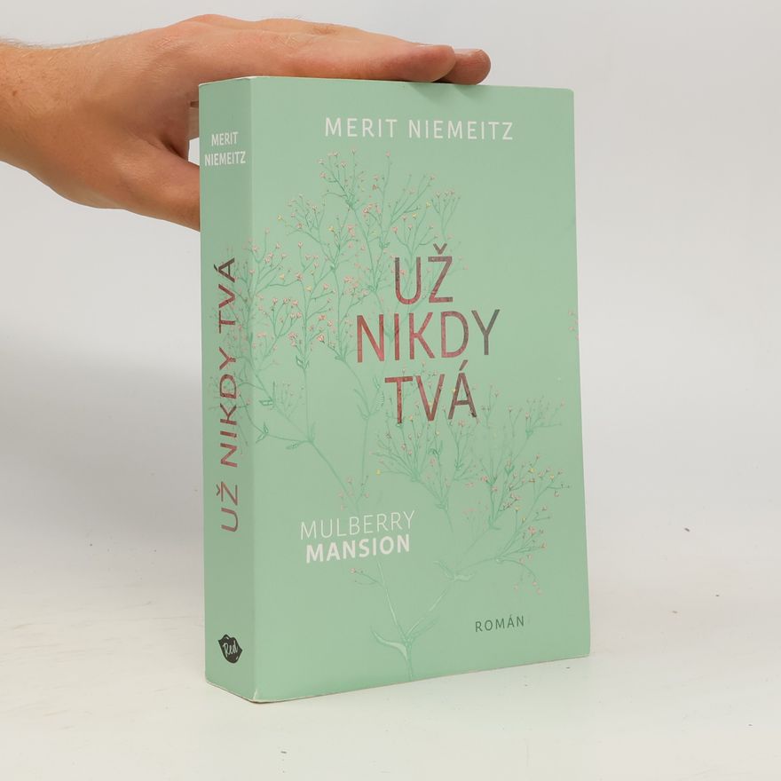 Merit Niemeitz Už nikdy tvá
