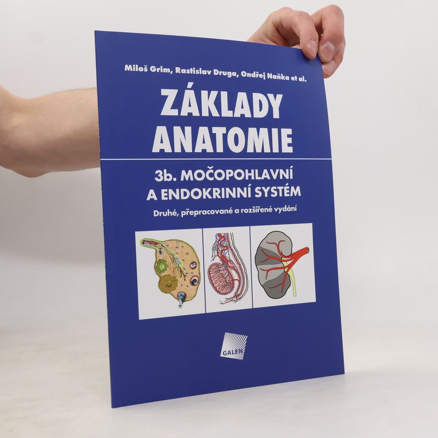 Jan Kacvinský Základy anatomie. 3b., Močopohlavní a endokrinní systém