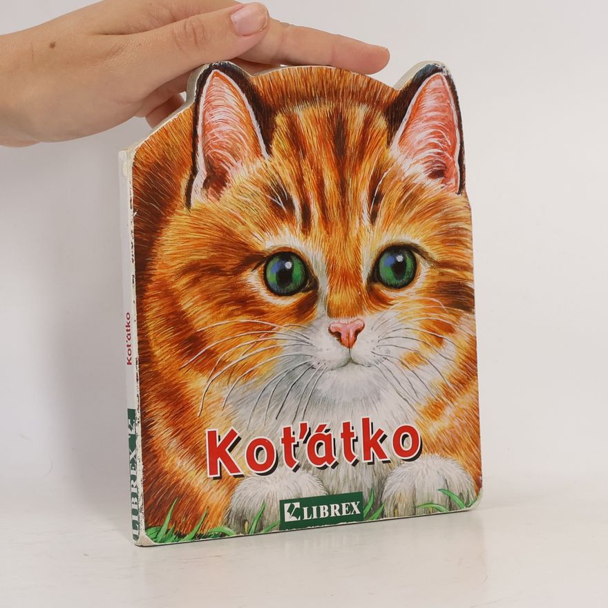 Kolektiv autorů Koťátko