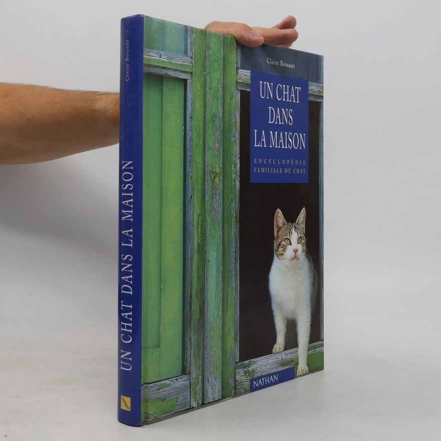 Claire Bessant Un chat dans la maison