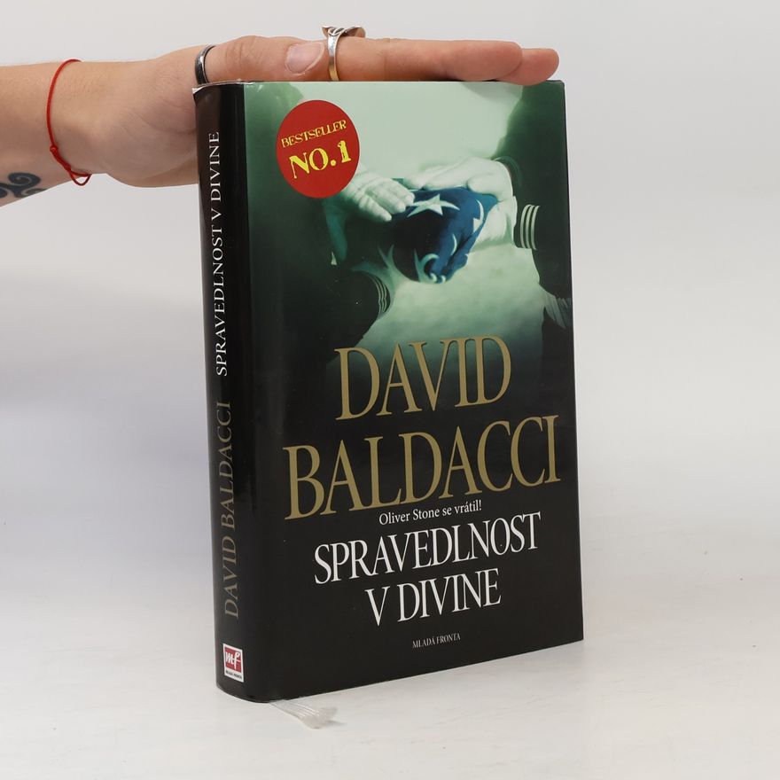 David Baldacci Spravedlnost v Divine