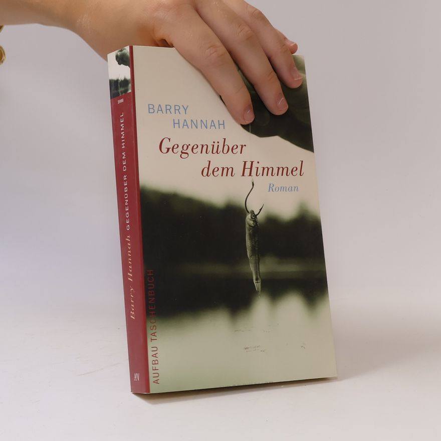 Barry Hannah Gegenüber dem Himmel