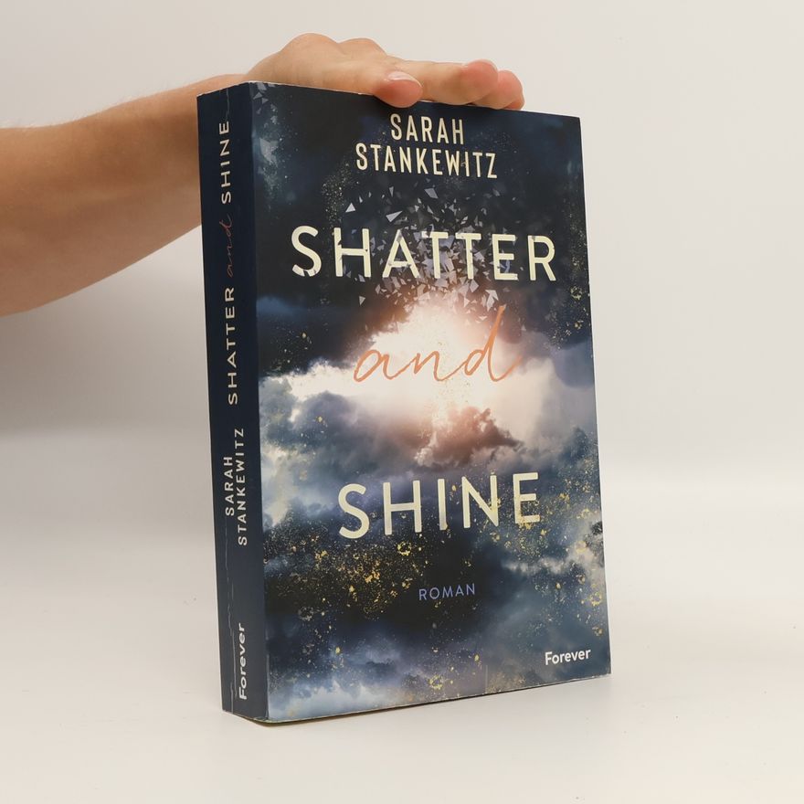 Sarah Stankewitz Shatter and shine