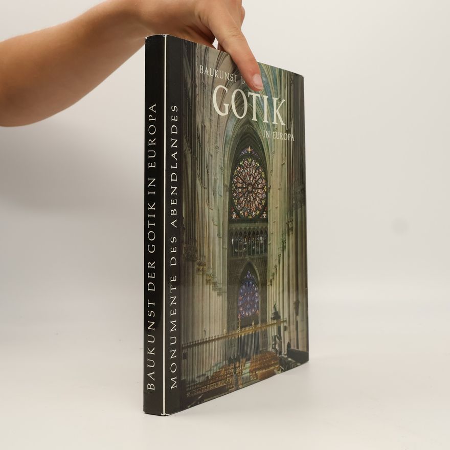 Kolektiv autorů Baukunst der Gotik in Europa