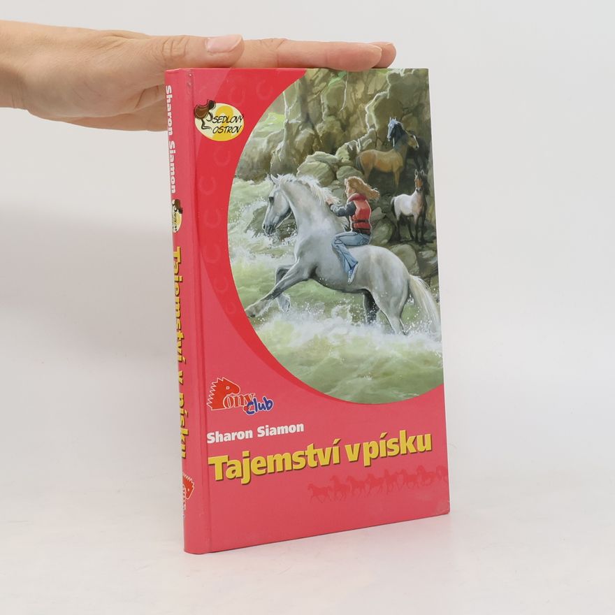 Sharon Siamon Tajemství v písku
