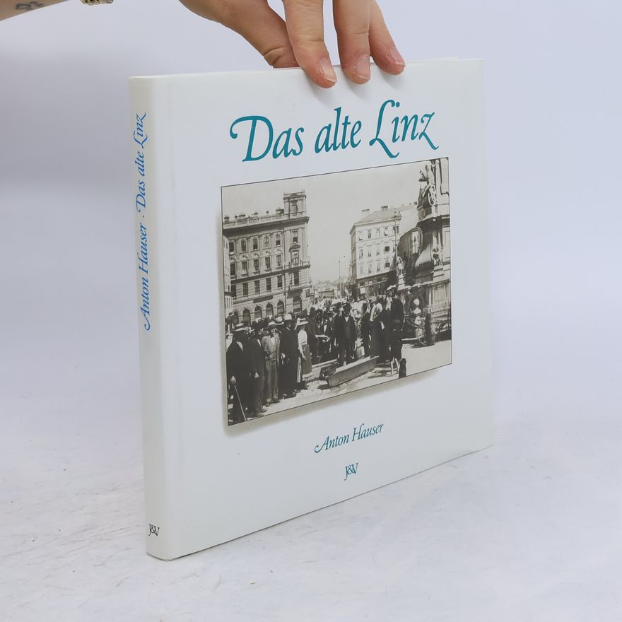 Anton Hauser Das alte Linz