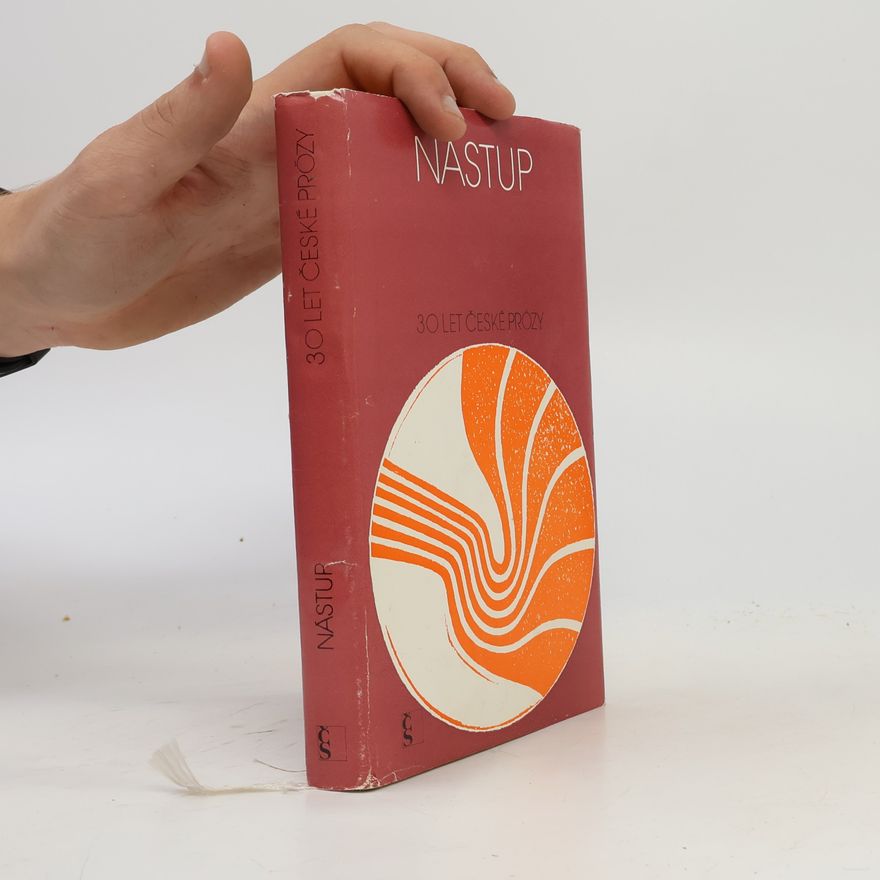 Various authors Nástup. Třicet let české prózy