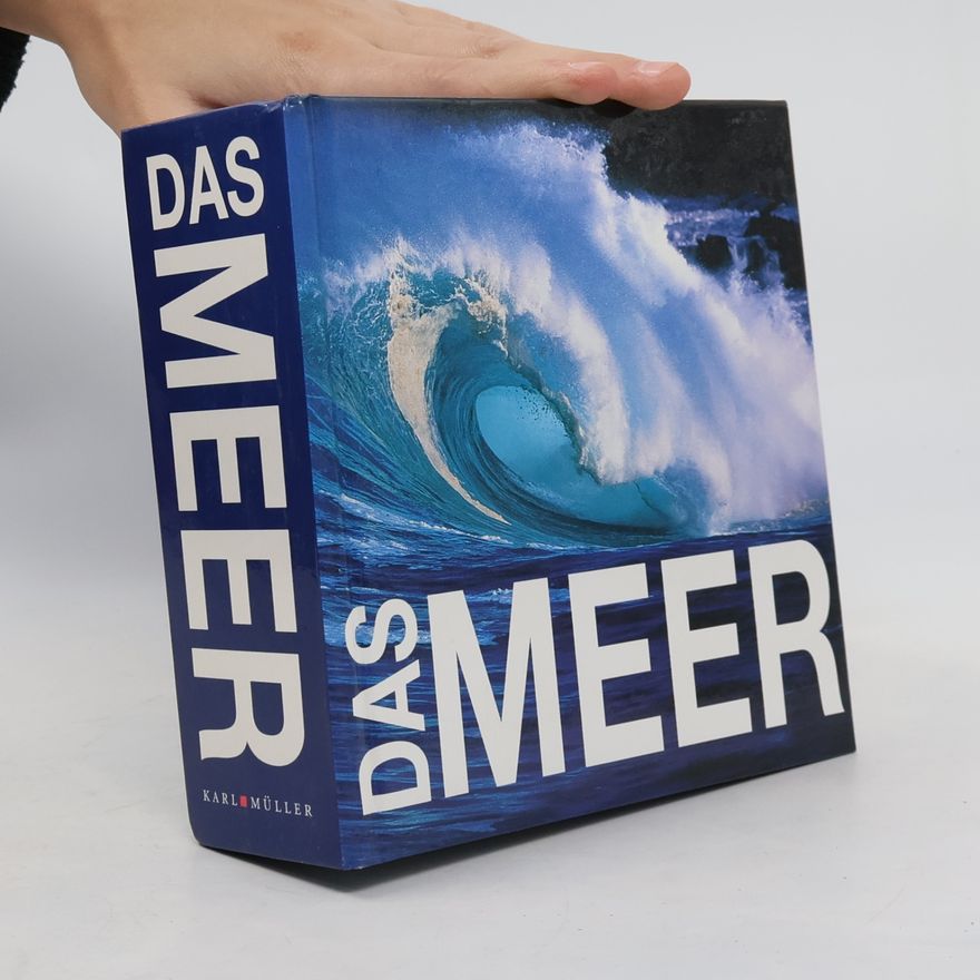 Gaetano Cafiero Das Meer