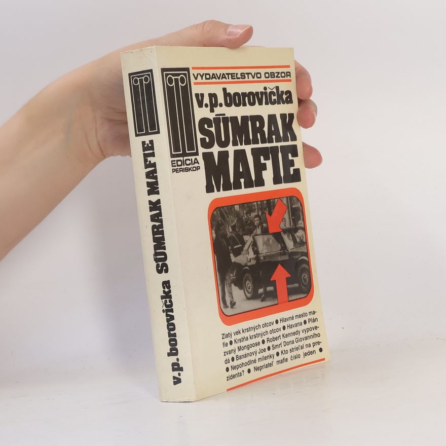 Václav Pavel Borovička Súmrak mafie