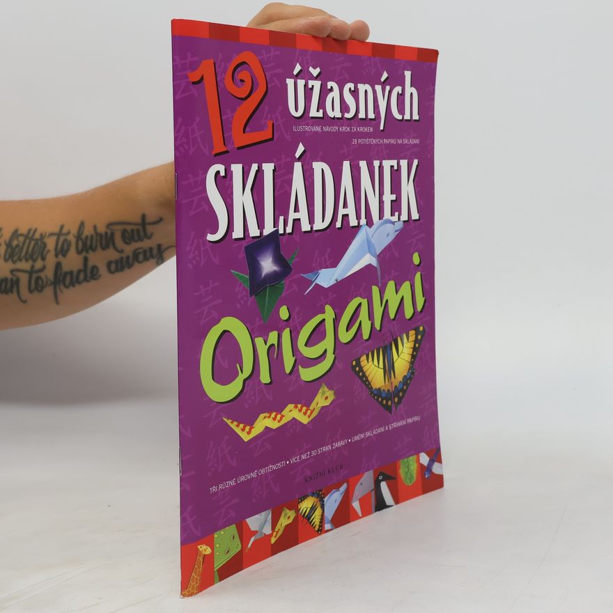 Kolektiv autorů 12 úžasných skládanek origami