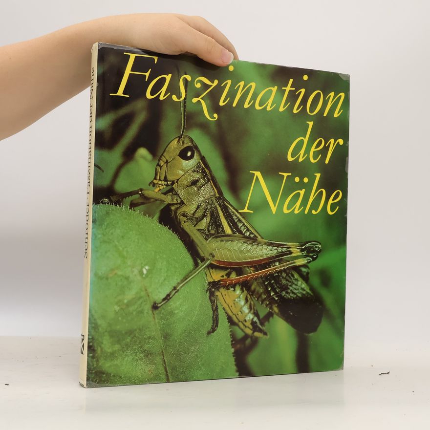 Autorenkollektiv Faszination der Nabe