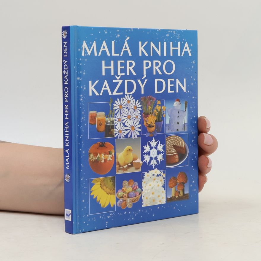 Dona Zalmanová Malá kniha her pro každý den
