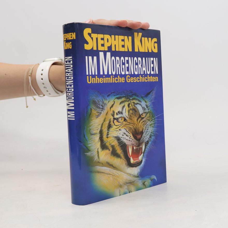 Stephen King Im Morgengrauen