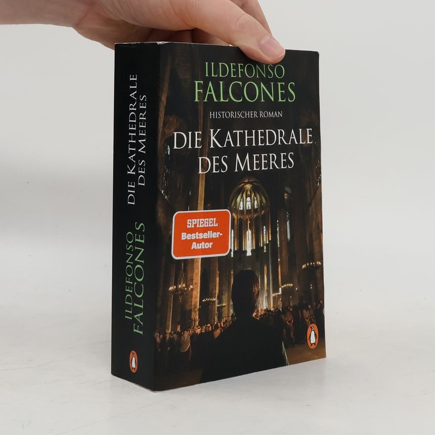 Ildefonso Falcones Die Kathedrale des Meeres