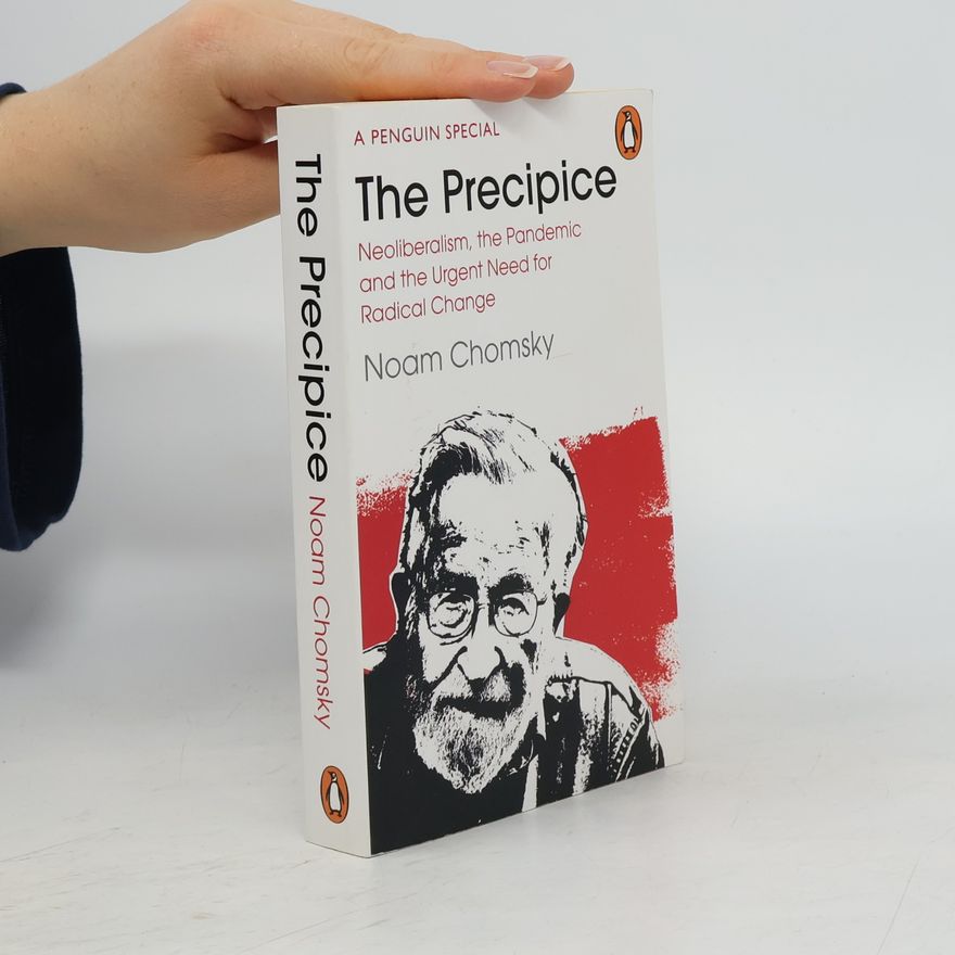 Noam Chomsky The Precipice