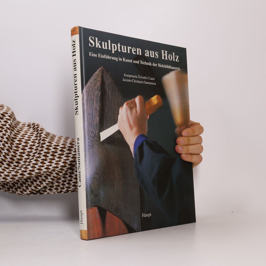 Josepmaria Teixidó i Camí Skulpturen aus Holz