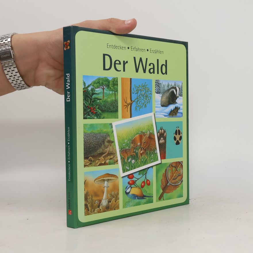 Autorenkollektiv Der Wald