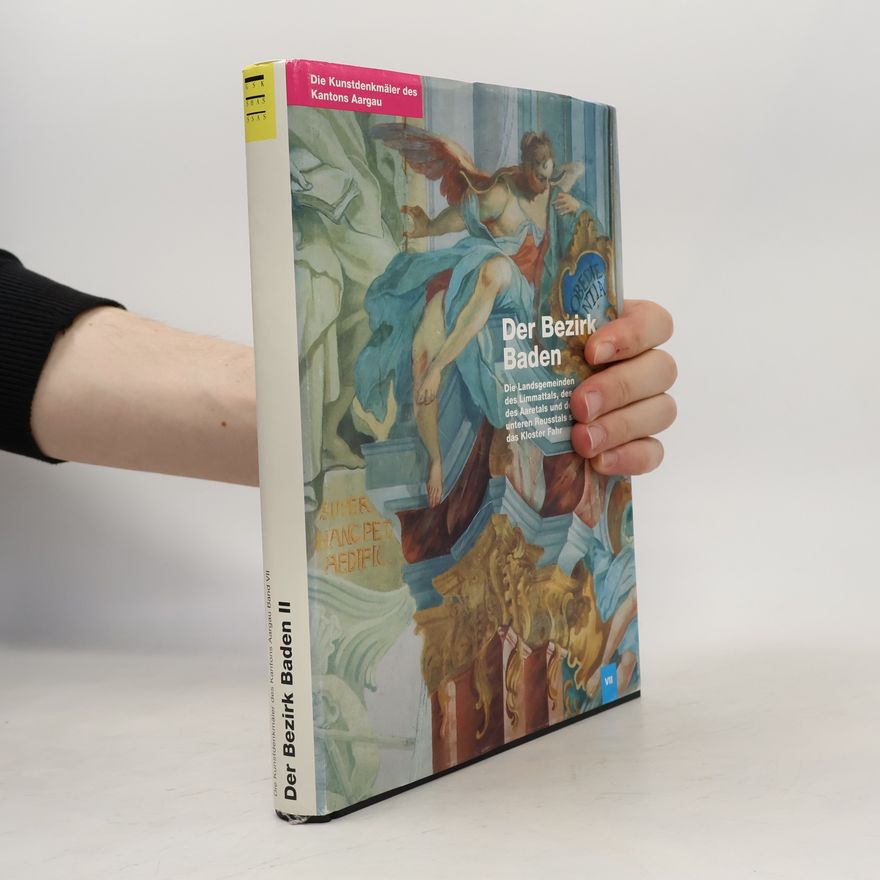 Peter Hoegger Die Kunstdenkmäler des Kantons Aargau