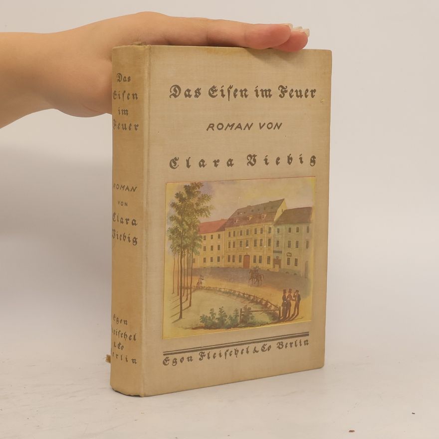 Clara Viebig Das Eisen im Feuer