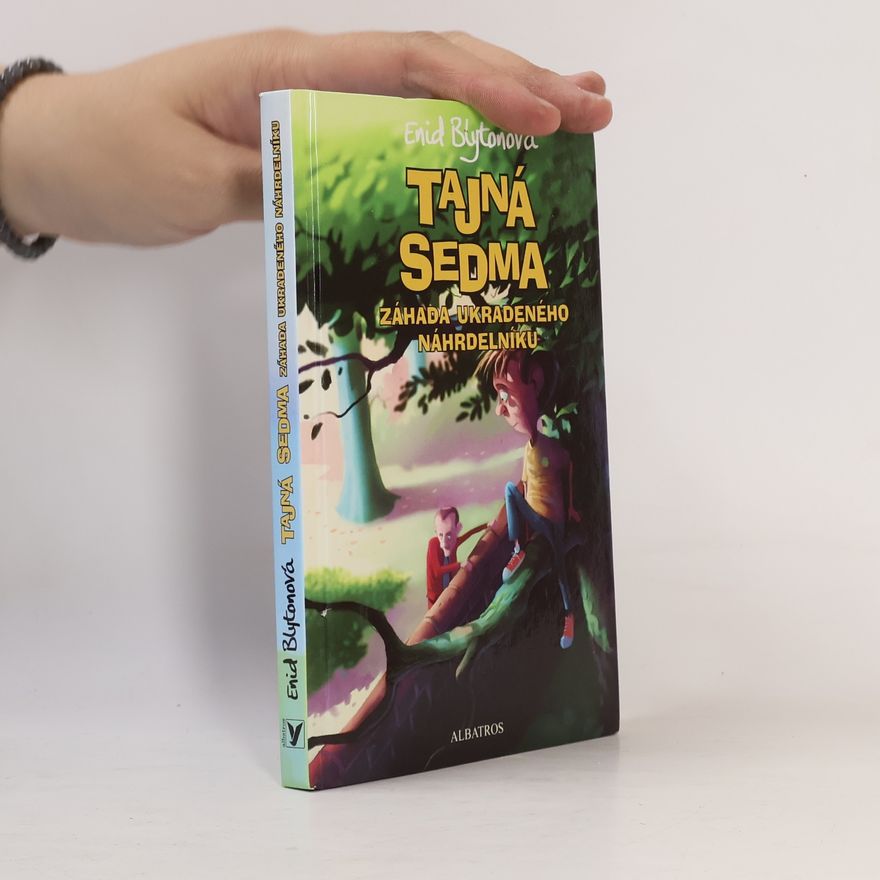 Enid Blyton Záhada ukradeného náhrdelníku