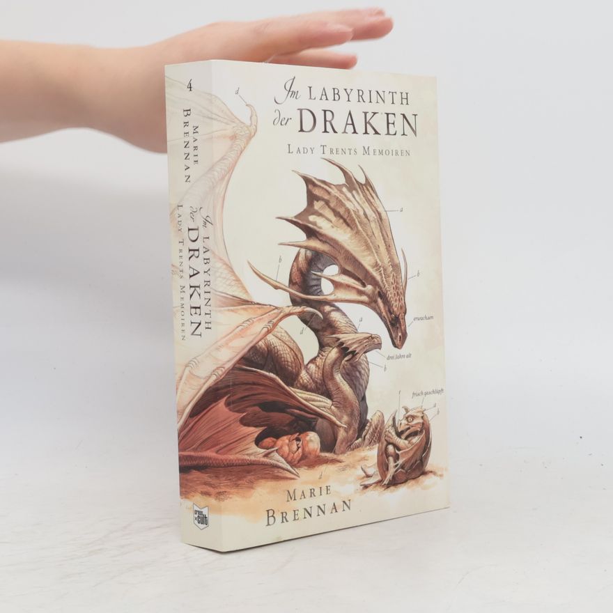Marie Brennan Im Labyrinth der Draken