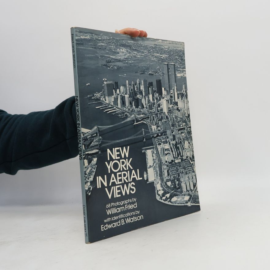 William Fried New York In Aerial Views