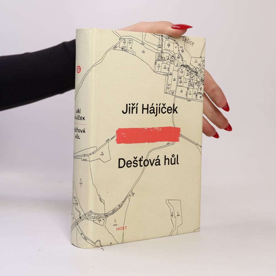 Jiří Hájíček Dešťová hůl
